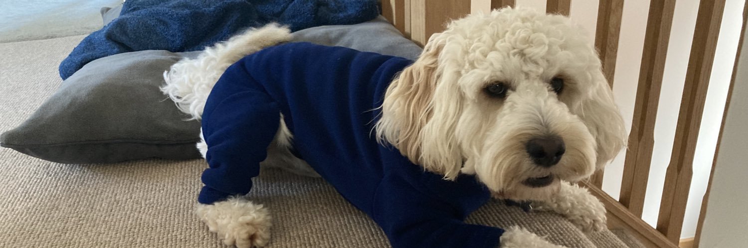 Sarah Golding banner