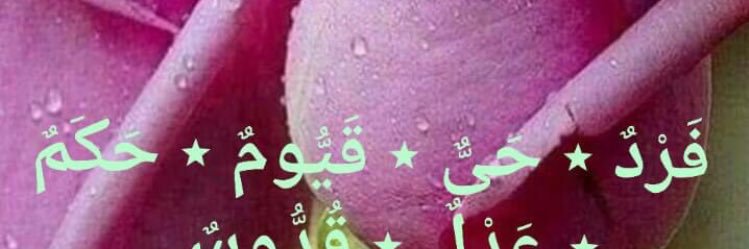 talip banner