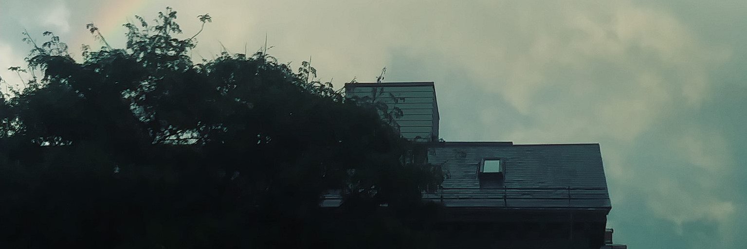Laurel Burns banner