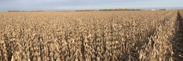 LD_Seeds Profile Banner