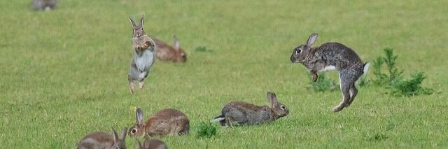 labunne's profile banner image