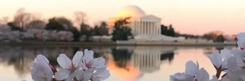 FOFÓ GRIGNOLI banner