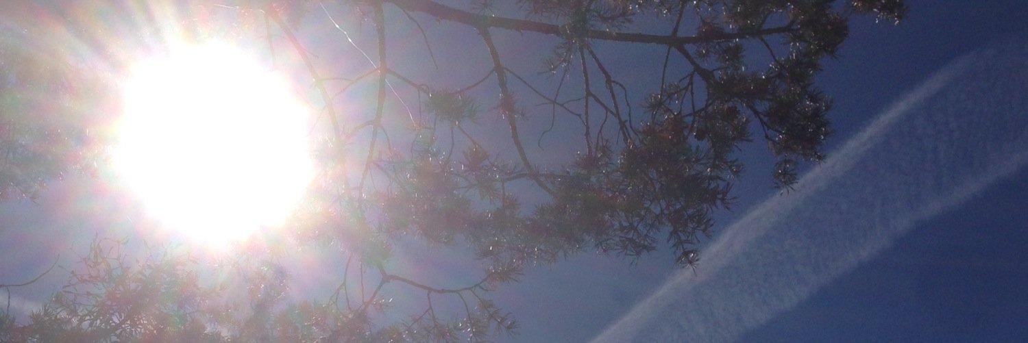 tcologner's profile banner image