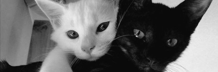 berta 3S𓆩♡𓆪 @@@ banner