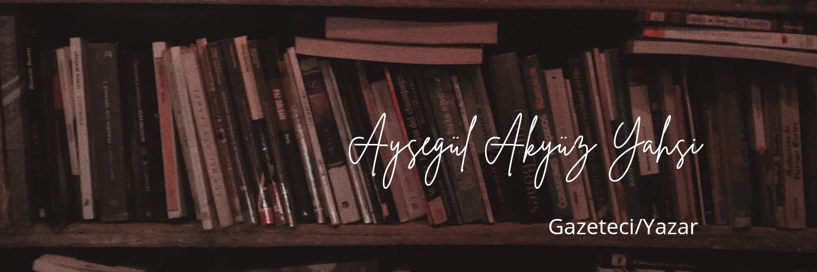 Ayşegül Akyüz Yahşi's banner