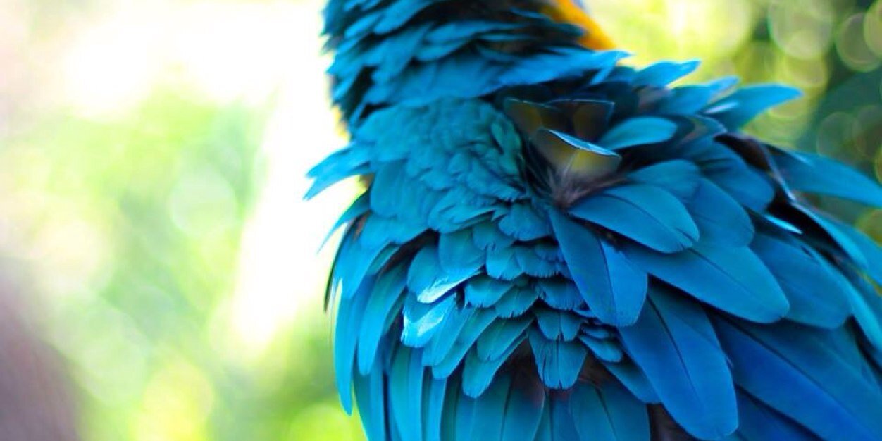 egoalatus's profile banner image