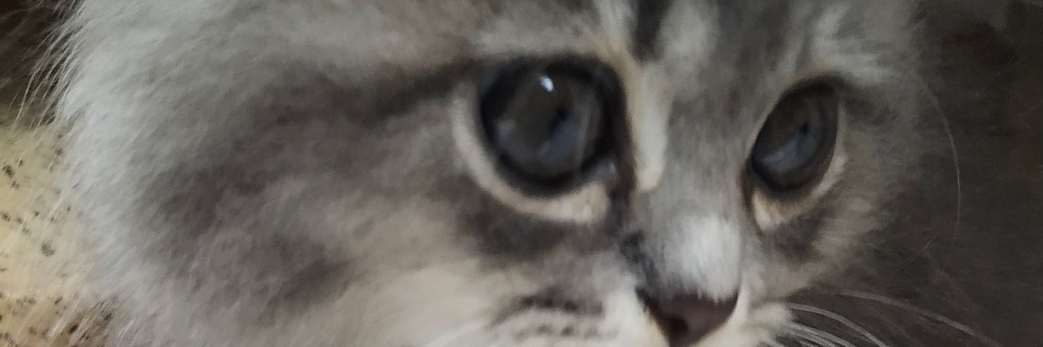 Not independen woman banner