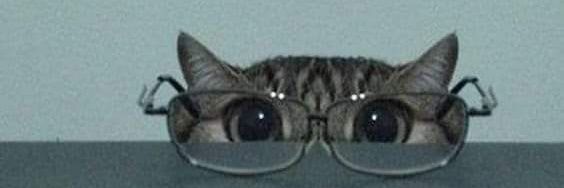 YO_MERENGUES_03's profile banner image