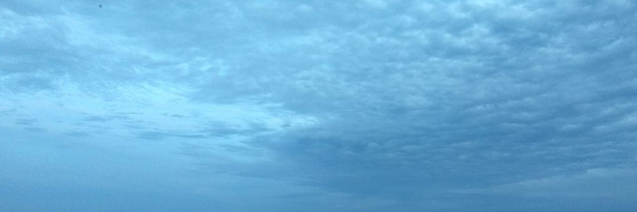 Flor banner