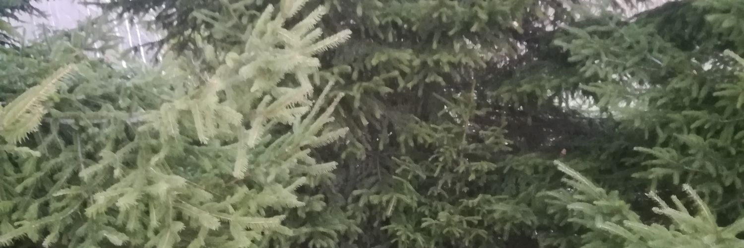 vbbMountain's profile banner image