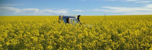 lester_hot Profile Banner