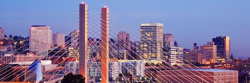 MiLRTacoma's profile banner image