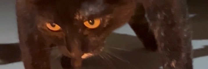 Ortegaaa_32's profile banner image