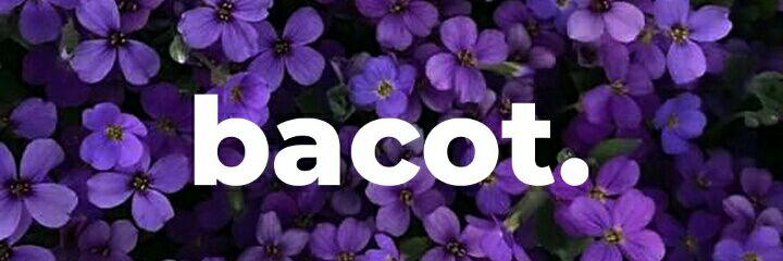 nadfas's profile banner image