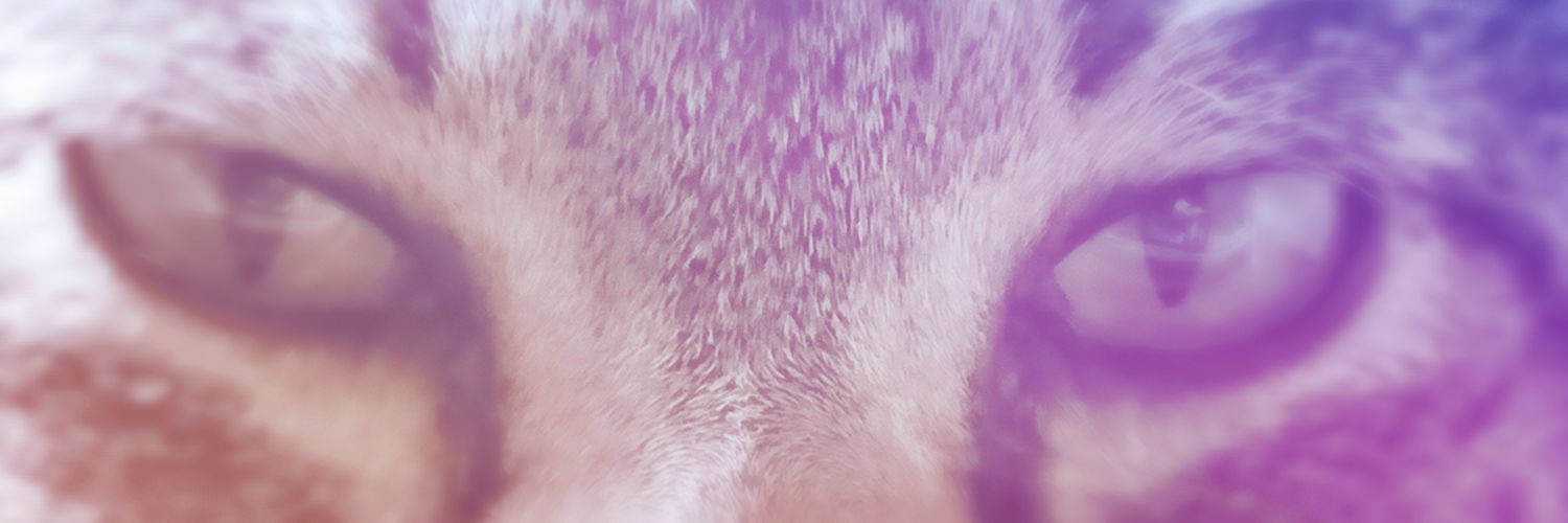 ymmt_com's profile banner image
