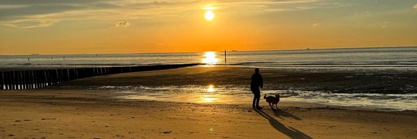 FonsPotters Profile Banner