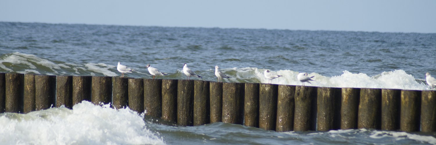 gumis009's profile banner image