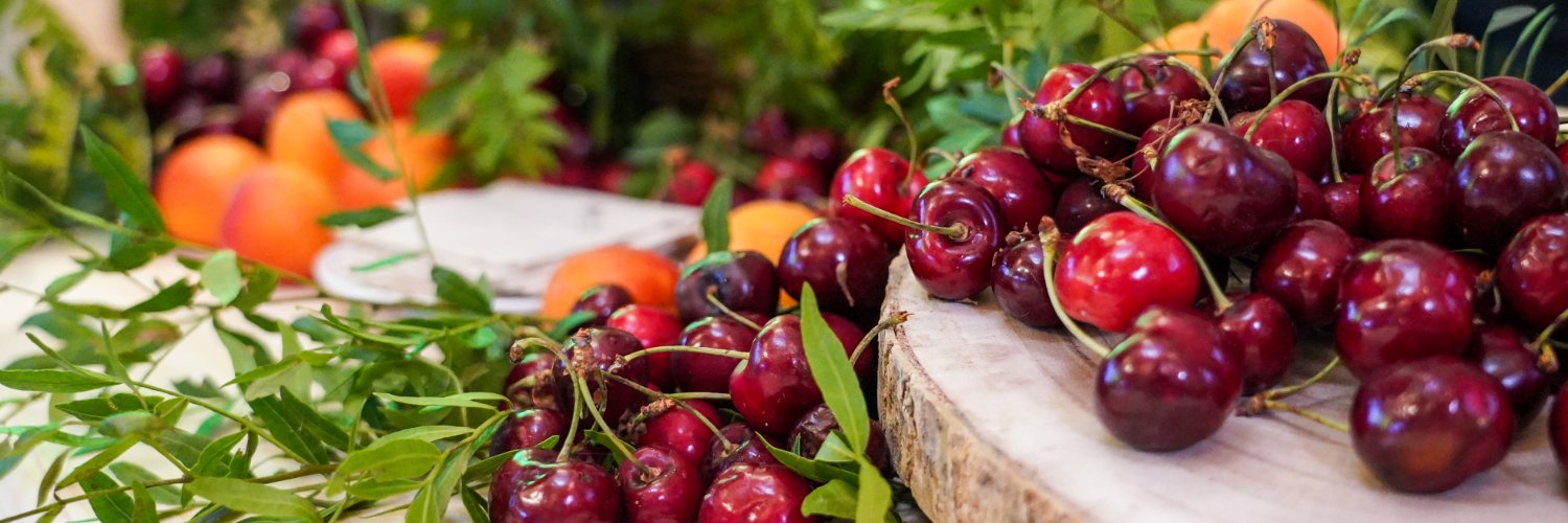 Aragón Alimentos banner