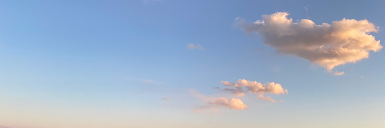 exculle banner