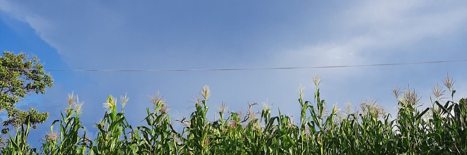 vitoriatt05's profile banner image