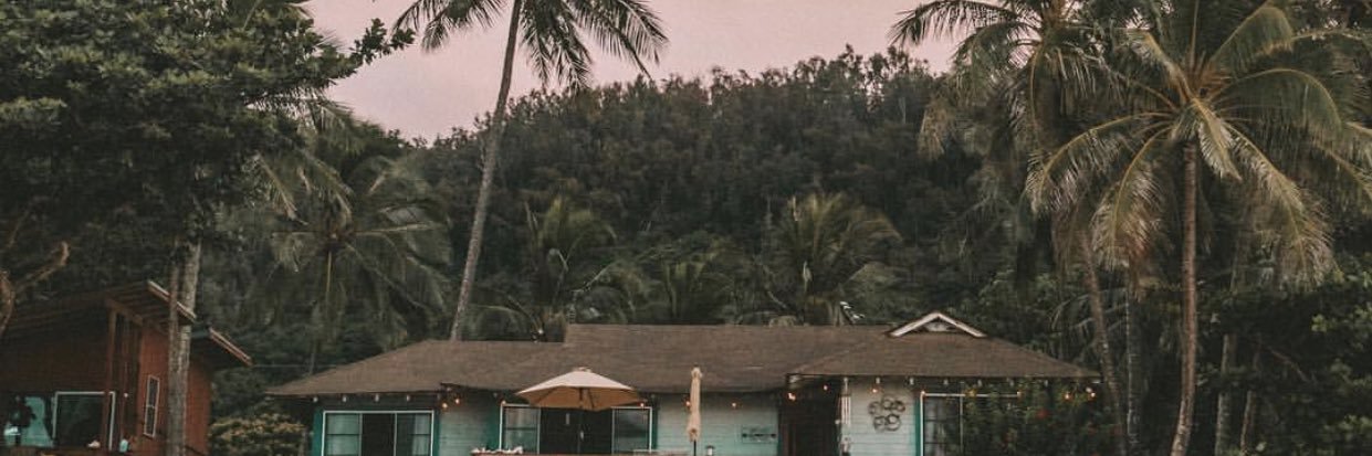 ShirGeorgie's profile banner image