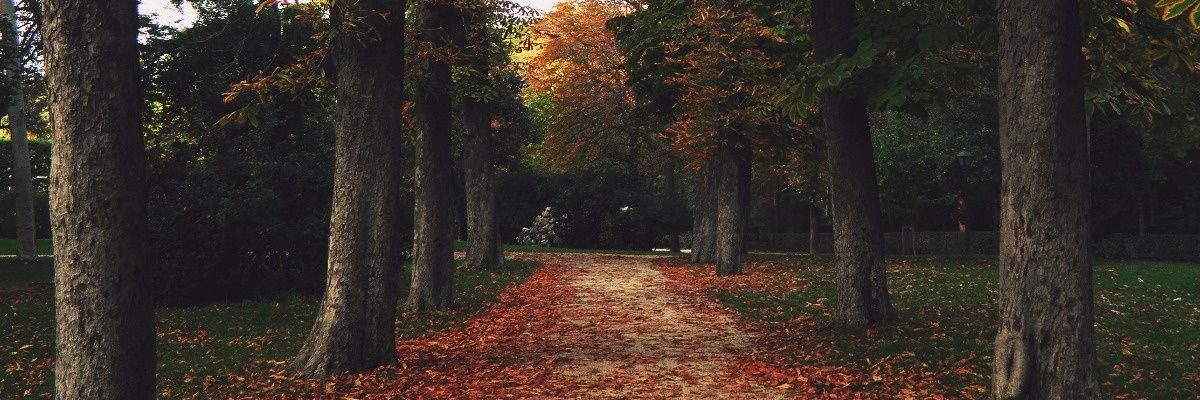 jkr_ScarD's profile banner image