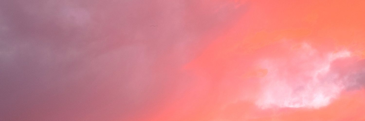 paaa_wisss's profile banner image