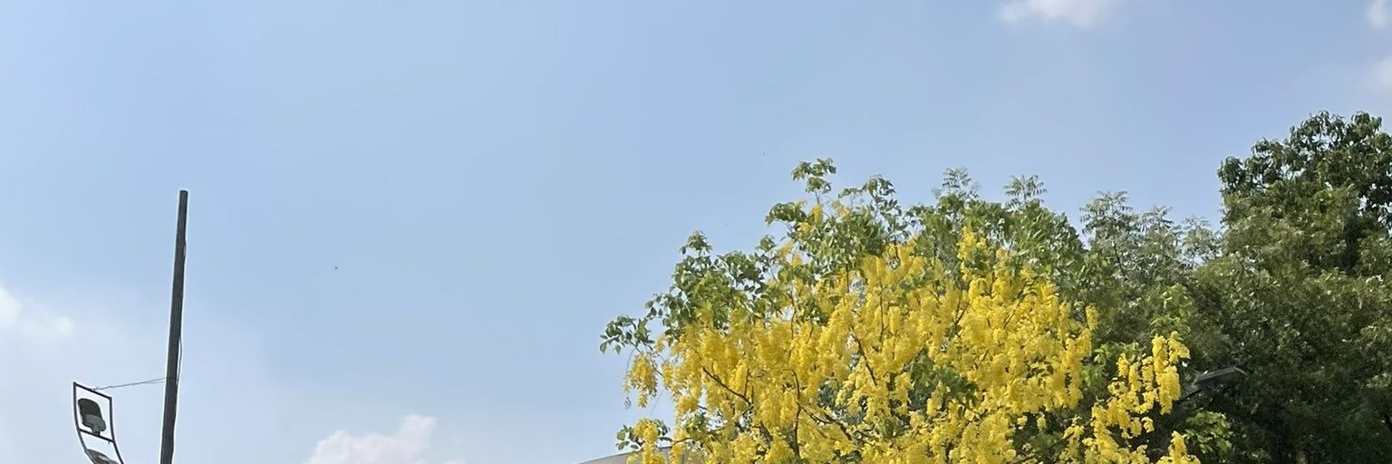 fleeinghere's profile banner image