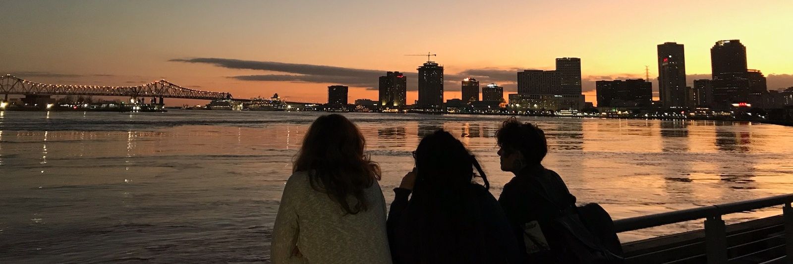 stop cop city / land back banner