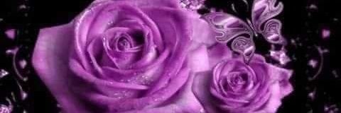 Trisha29455660's profile banner image