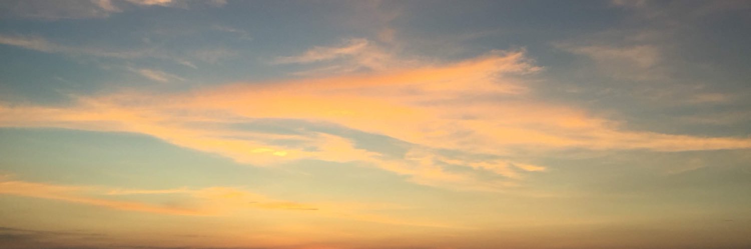 gel✨ banner