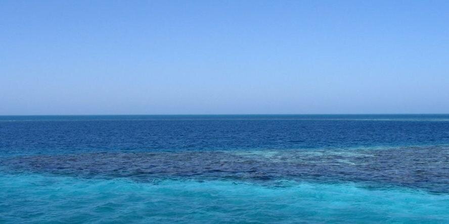 broker protocol banner