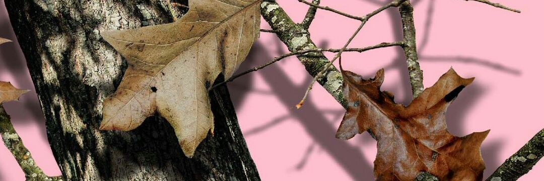 ccnb0809's profile banner image