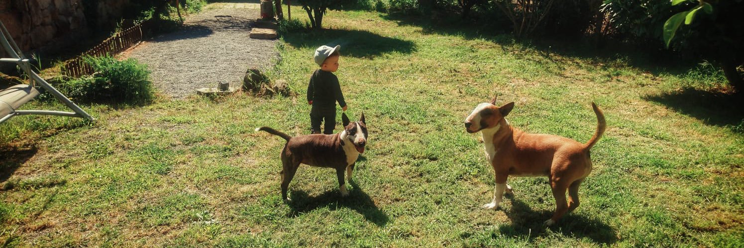 Sina 🌱🤼‍♀️🎥🎞🎸🏥🐶🏳️‍🌈🏳️‍⚧️🍓 banner