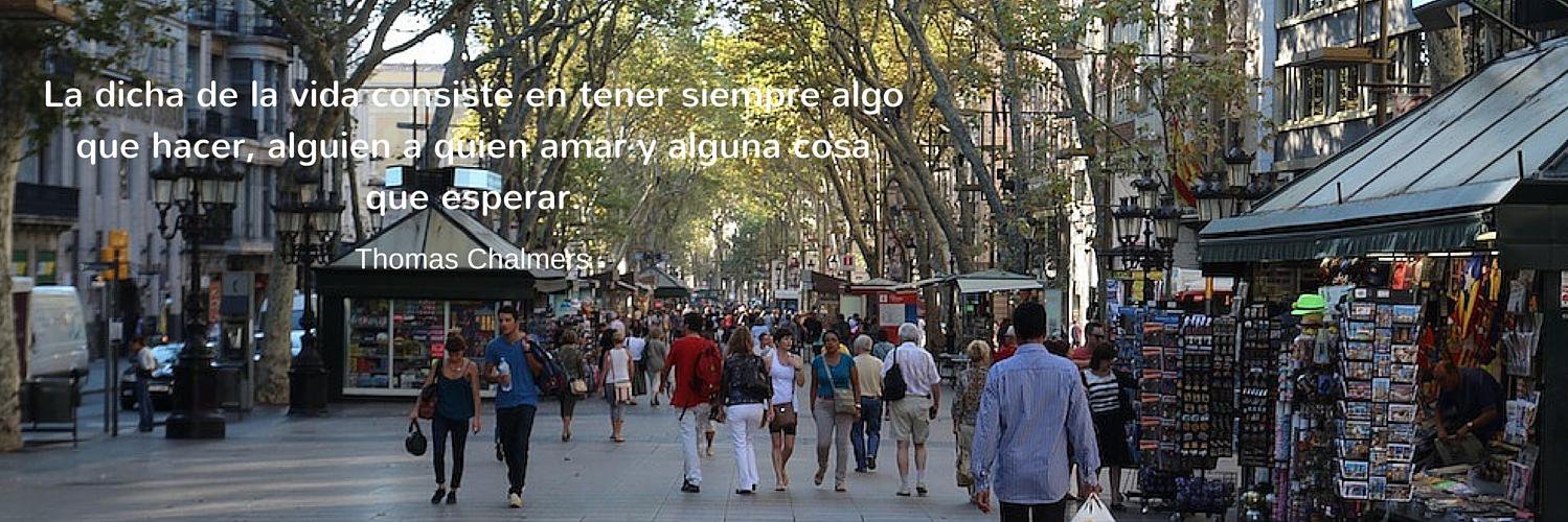 Pere Rodriguez banner