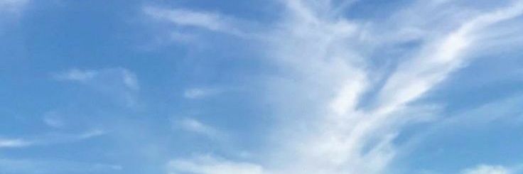 ทานตะวันของกู🌻♡ ¦ จีบแม่งอยู่ ¦ banner
