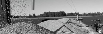SUPERERM_'s profile banner image