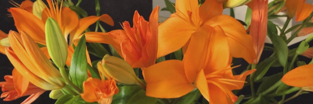 srediie's profile banner image