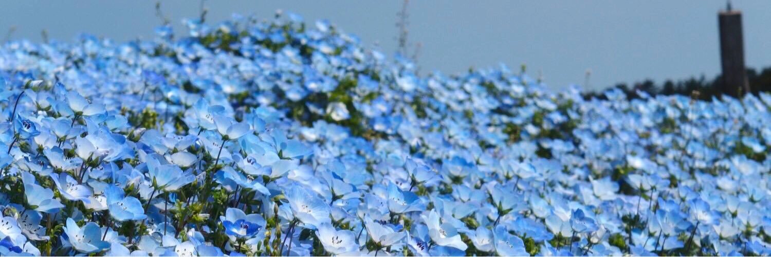 ayako_libra's profile banner image