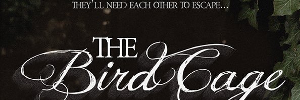 Krista Lynne White banner