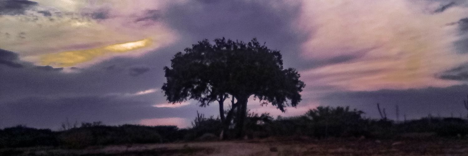 Rafael Lucena banner