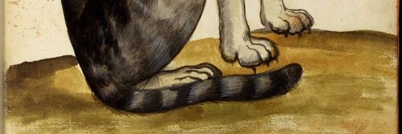 padillandres's profile banner image