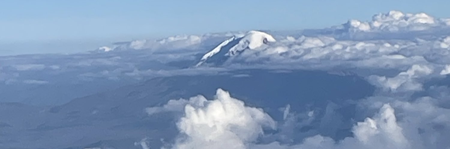 danielaruizpena's profile banner image