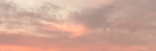 jjellybe's profile banner image