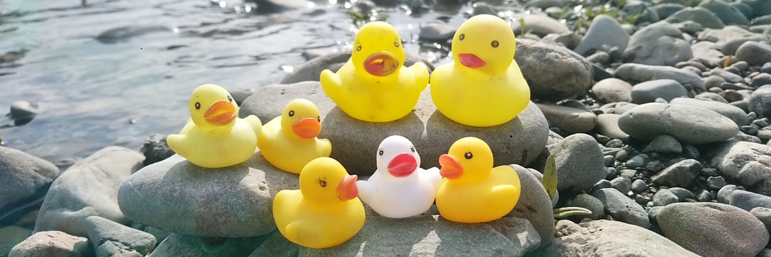 GARINITOMATO (ガリトマです。) banner