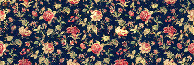 Nat_Ruiz's profile banner image