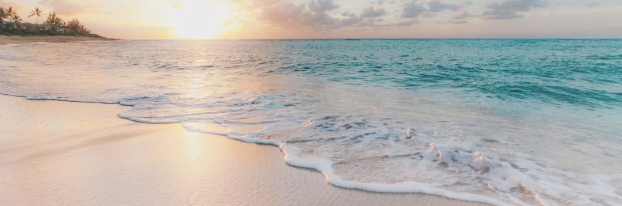 mireillewillia1's profile banner image