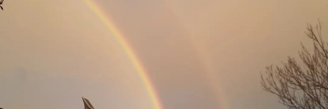 Elljay1011's profile banner image