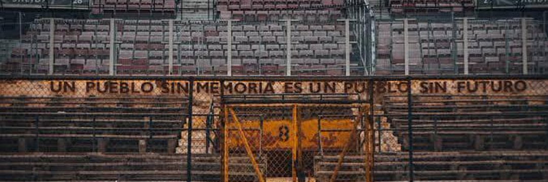 thiago carlos 🐔🏴‍☠️⚽️🏟📚 banner