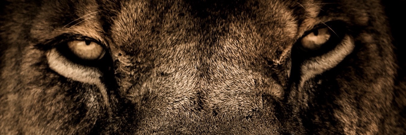 Nukl27's profile banner image